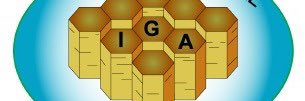 IGA banner