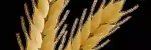 anna_howard's profile banner image