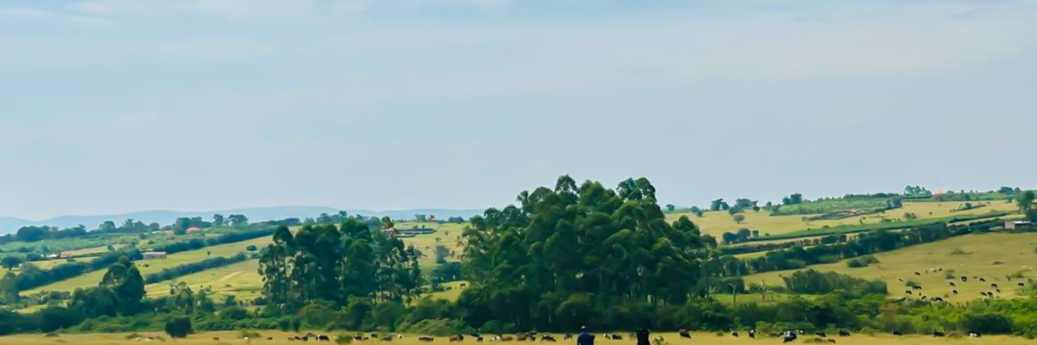 MAISHA 🦅 banner