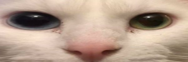 anddriuuu Profile Banner