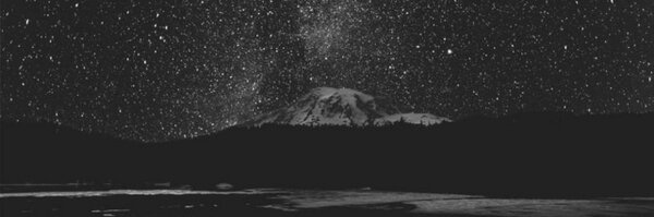 brutalgardener Profile Banner
