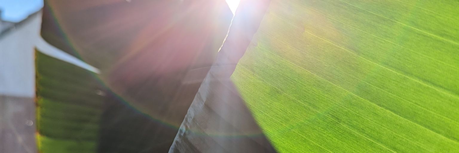 dadu4net's profile banner image