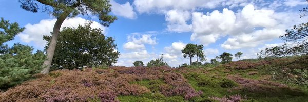 RikBerends Profile Banner