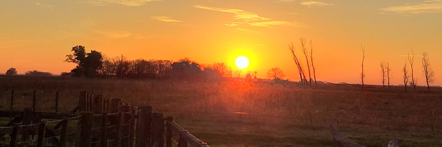 mirta24865's profile banner image