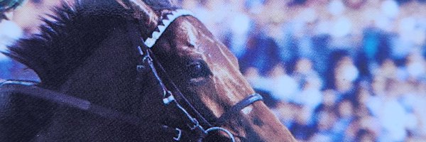 YukiInagaki2 Profile Banner