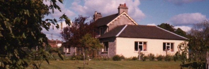 Hoggy 🇮🇱 🇬🇧 banner