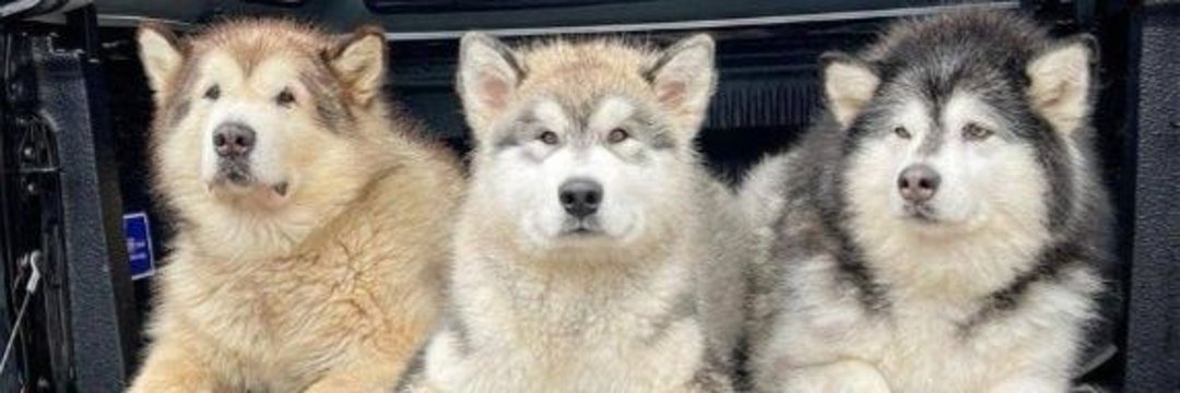 Mondaylee 💡 banner