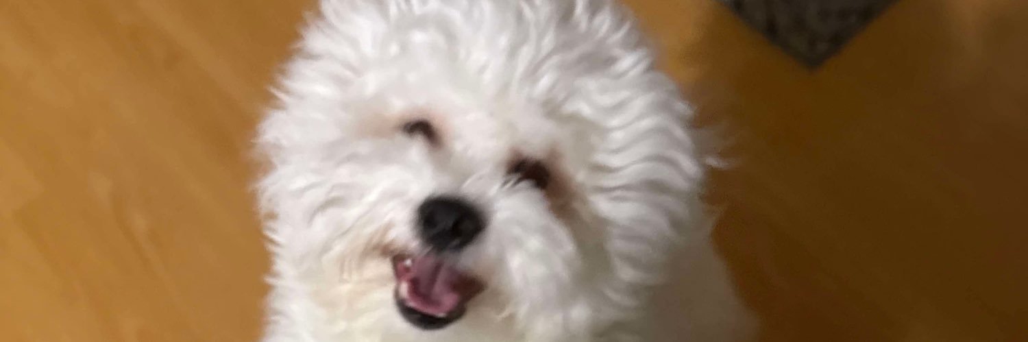 MarishDomingo's profile banner image