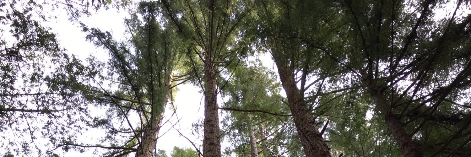 gregjordan90's profile banner image