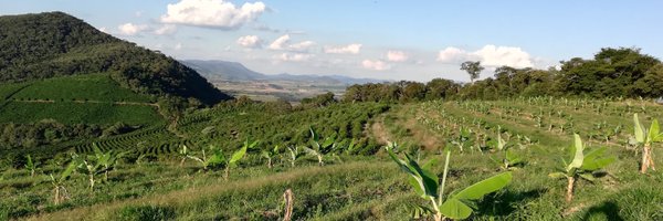 DigitAFproject Profile Banner