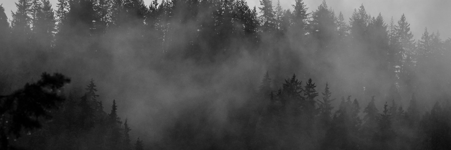 RLafield's profile banner image