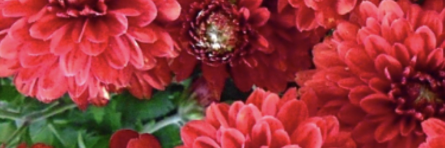 aaa99nsf's profile banner image