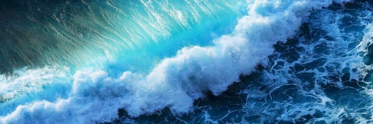 Daniel Voller banner