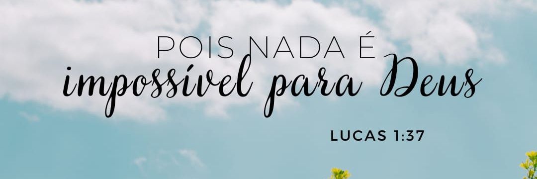 Alice Braga banner