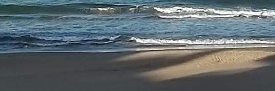 sonia mendiola cruz banner