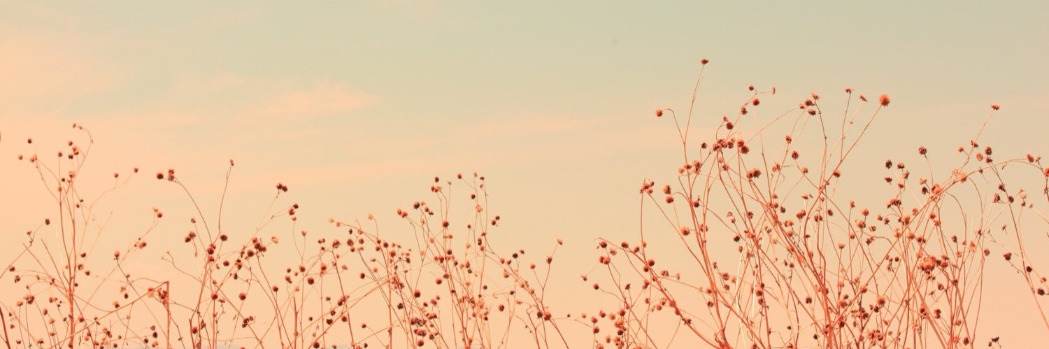 zarazoo_'s profile banner image
