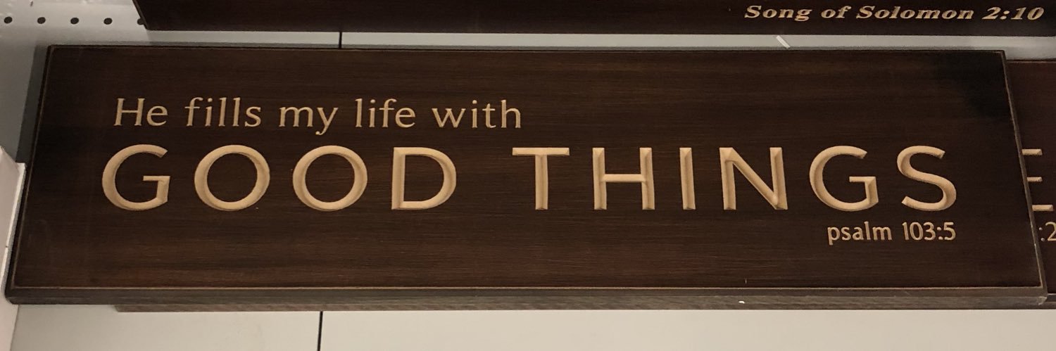 chookfin73's profile banner image