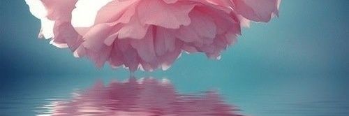 @Pictures Art 𝕏 banner