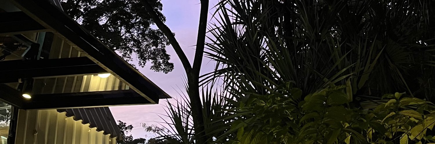 bitterie___'s profile banner image