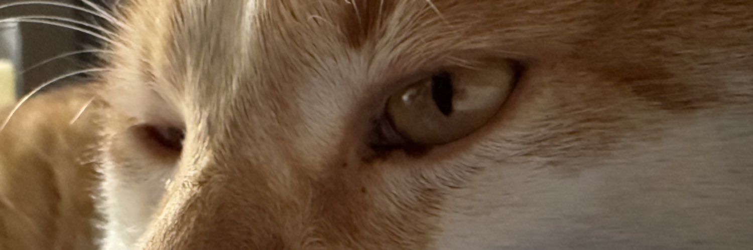 _julibattiss's profile banner image