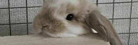 wex_ki's profile banner image