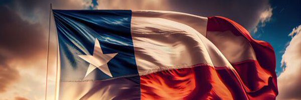 Brinx65 Profile Banner