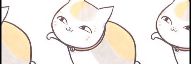 lyn banner
