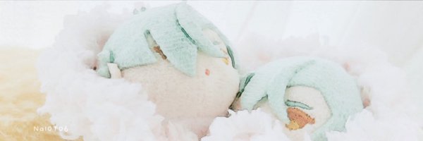 Nal0T06 Profile Banner