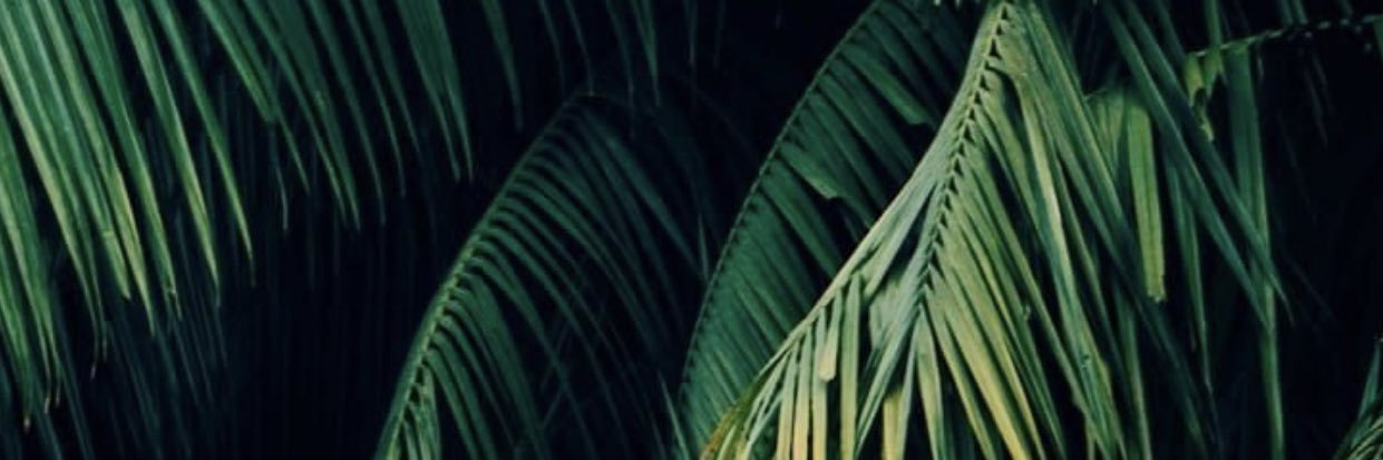 Bryan Dickey 📲 banner