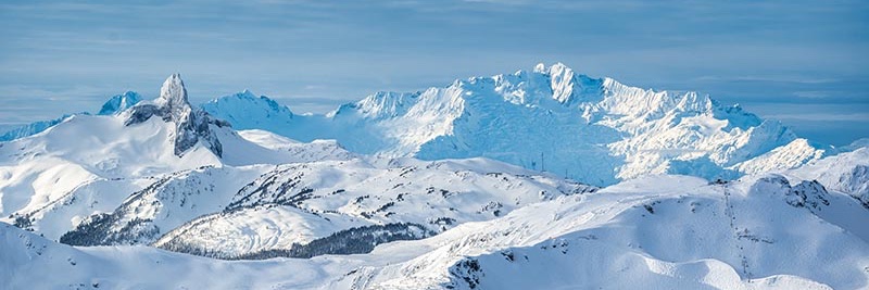 Rebecca Ronsley, MD banner