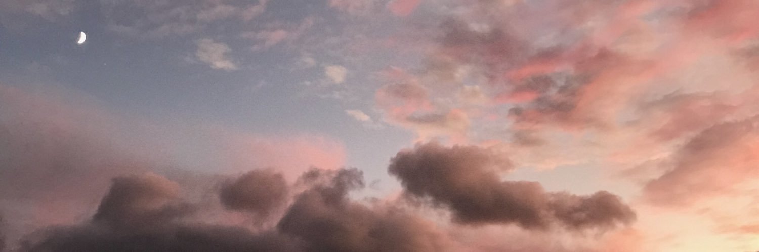 jessistevenss's profile banner image