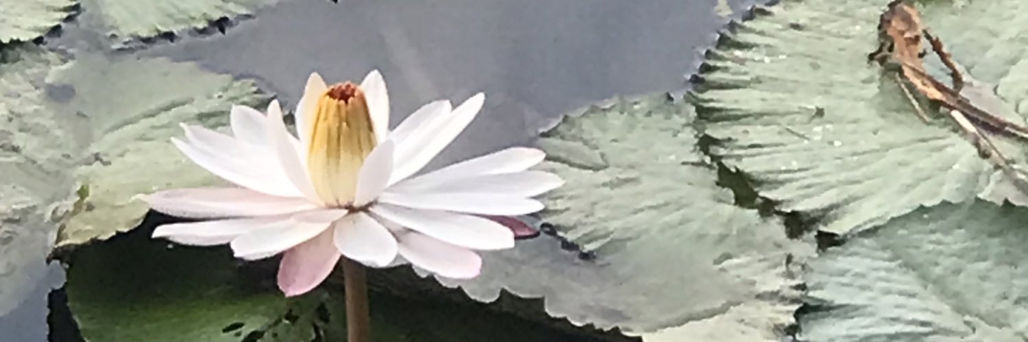 WrightNathalie's profile banner image