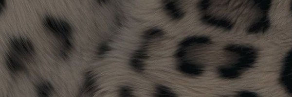 sam557_ Profile Banner