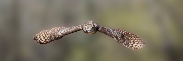 STEAMJanssen Profile Banner