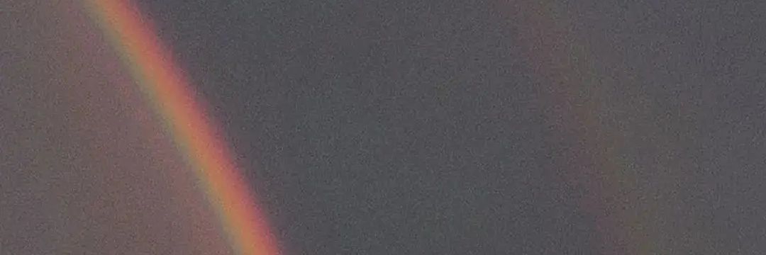taraneCL's profile banner image