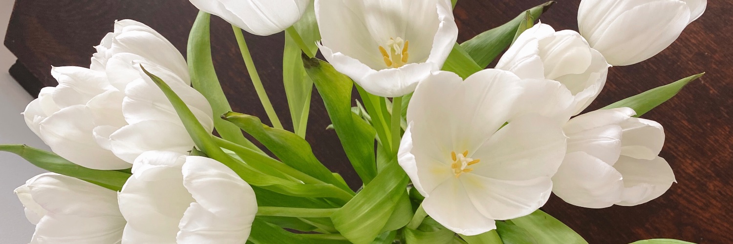 splendid_copy's profile banner image
