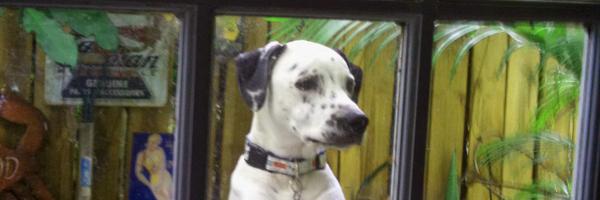 grimm_fred Profile Banner