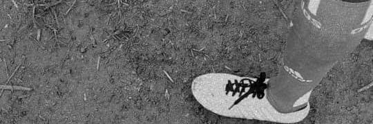 officialharmzzy's profile banner image