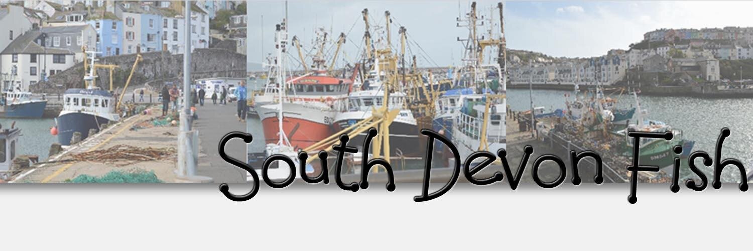 South Devon Fish banner