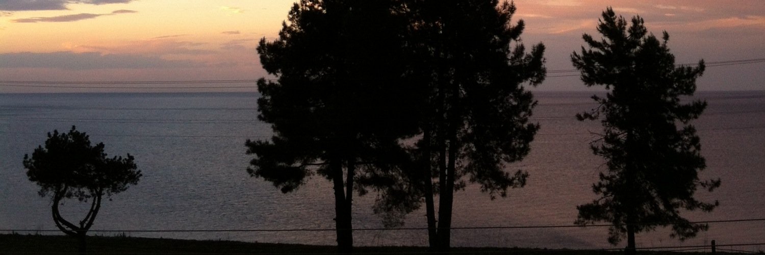 1ST1KL4L's profile banner image