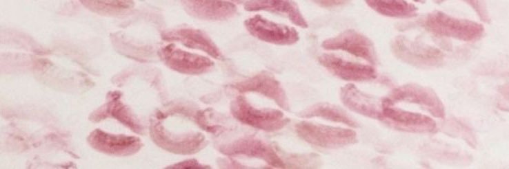 elle🫧🪽🎀 banner
