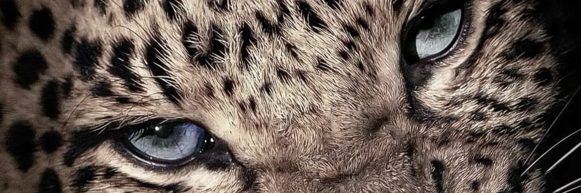 V1c_0dn's profile banner image