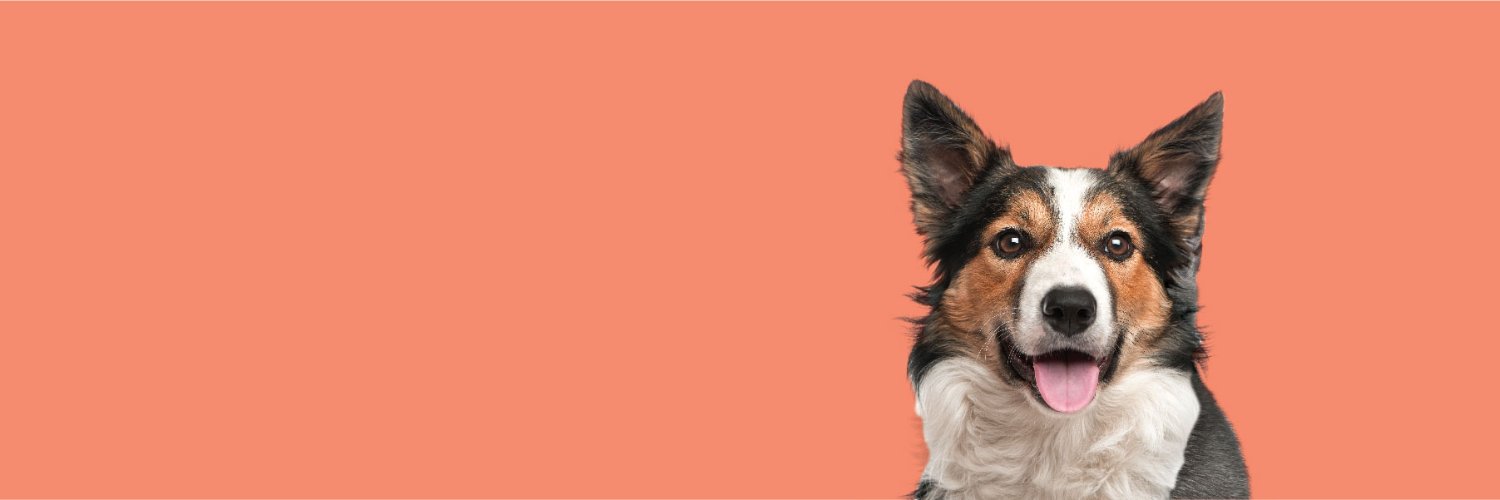 FurDad banner