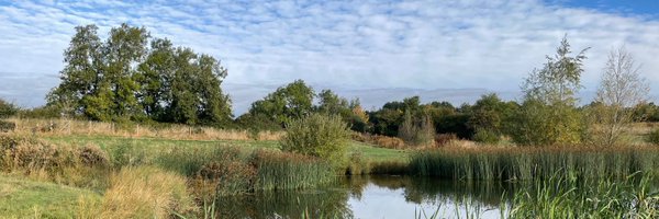 DrTABailey Profile Banner