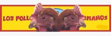 Los Pollos Hermanos banner