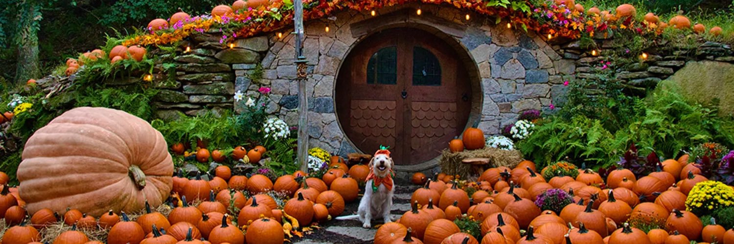 Jack O’Lantern🎃 banner