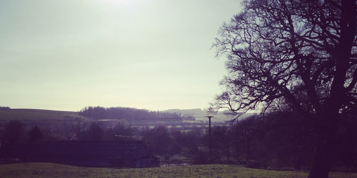 Patchwork Native banner