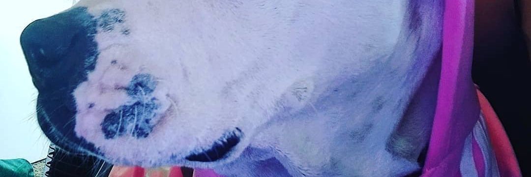 temitopegold123's profile banner image