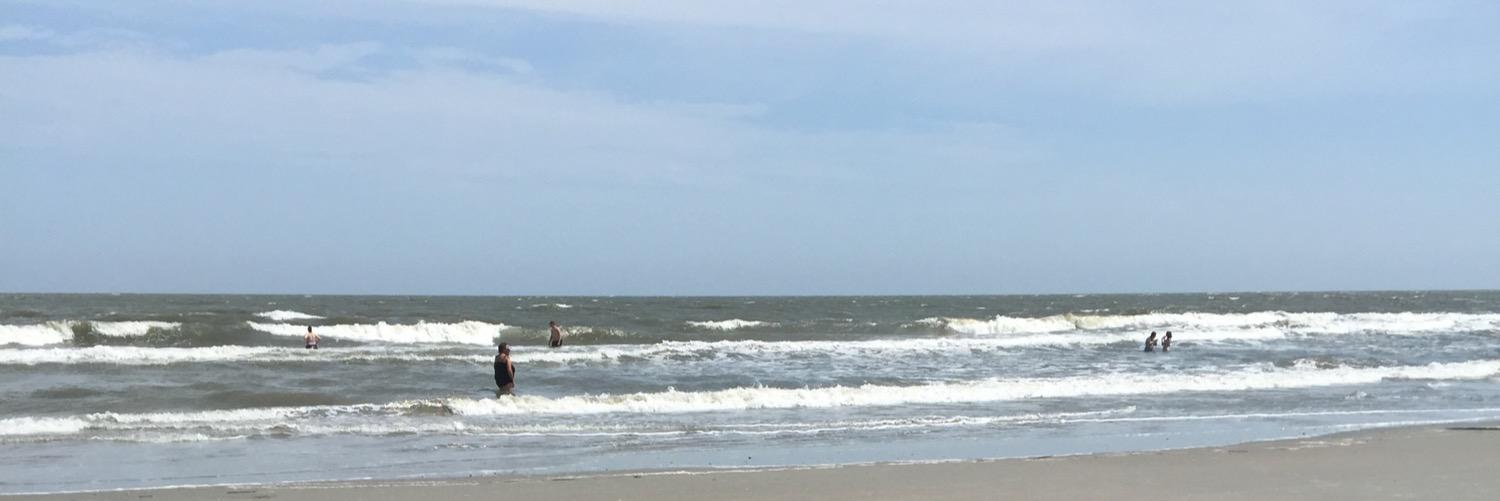 @IvyGoggins-Young banner