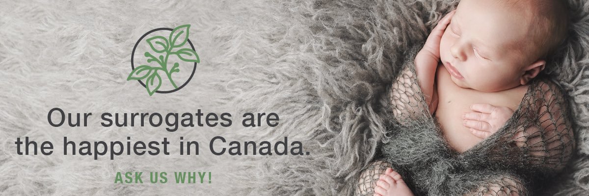 CFCLeia's profile banner image